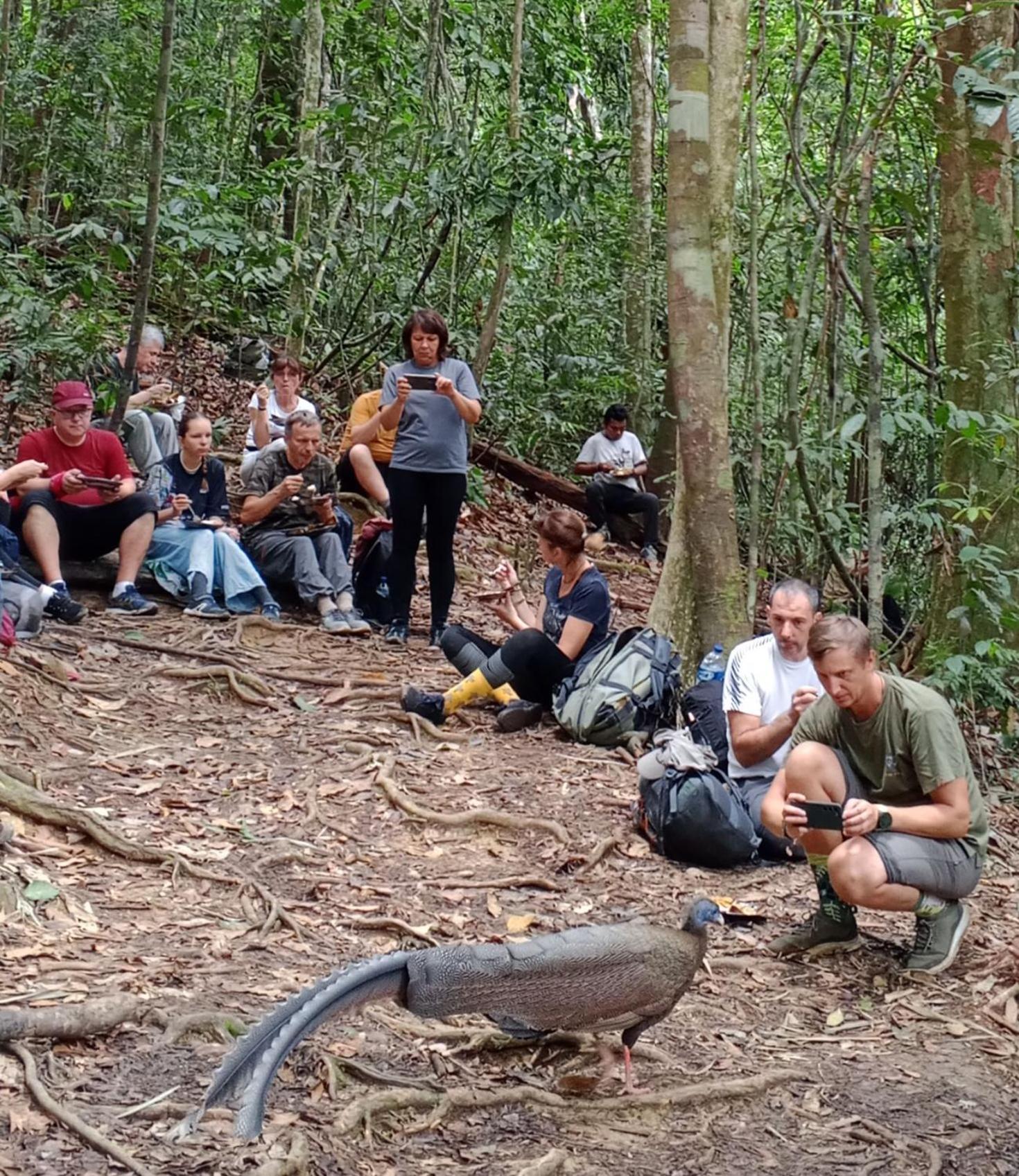 Sama Sama Homestay & Trekking Only Stay Here Book Trekking And Transport With Us Bukit Lawang Bagian luar foto