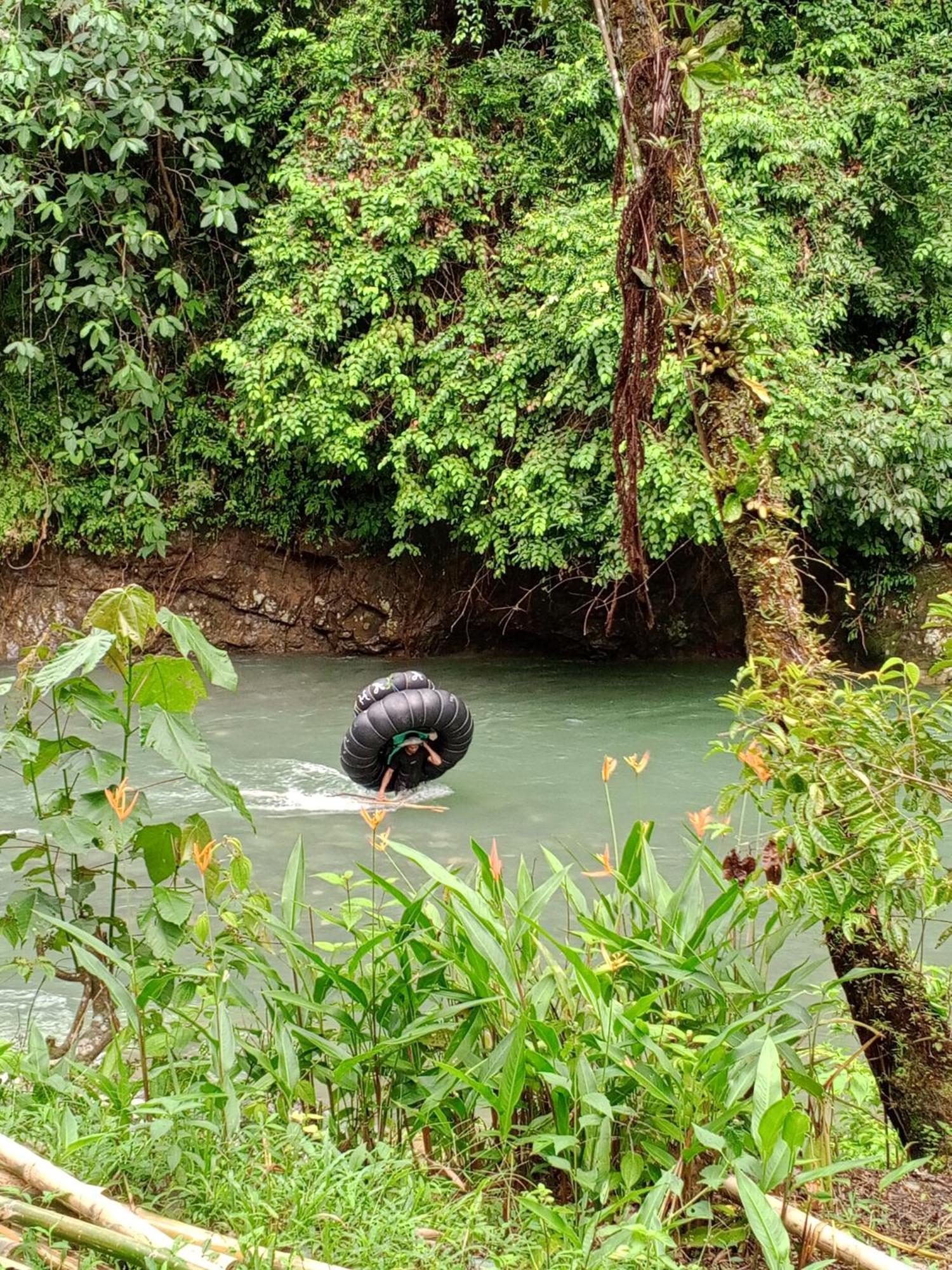 Sama Sama Homestay & Trekking Only Stay Here Book Trekking And Transport With Us Bukit Lawang Bagian luar foto