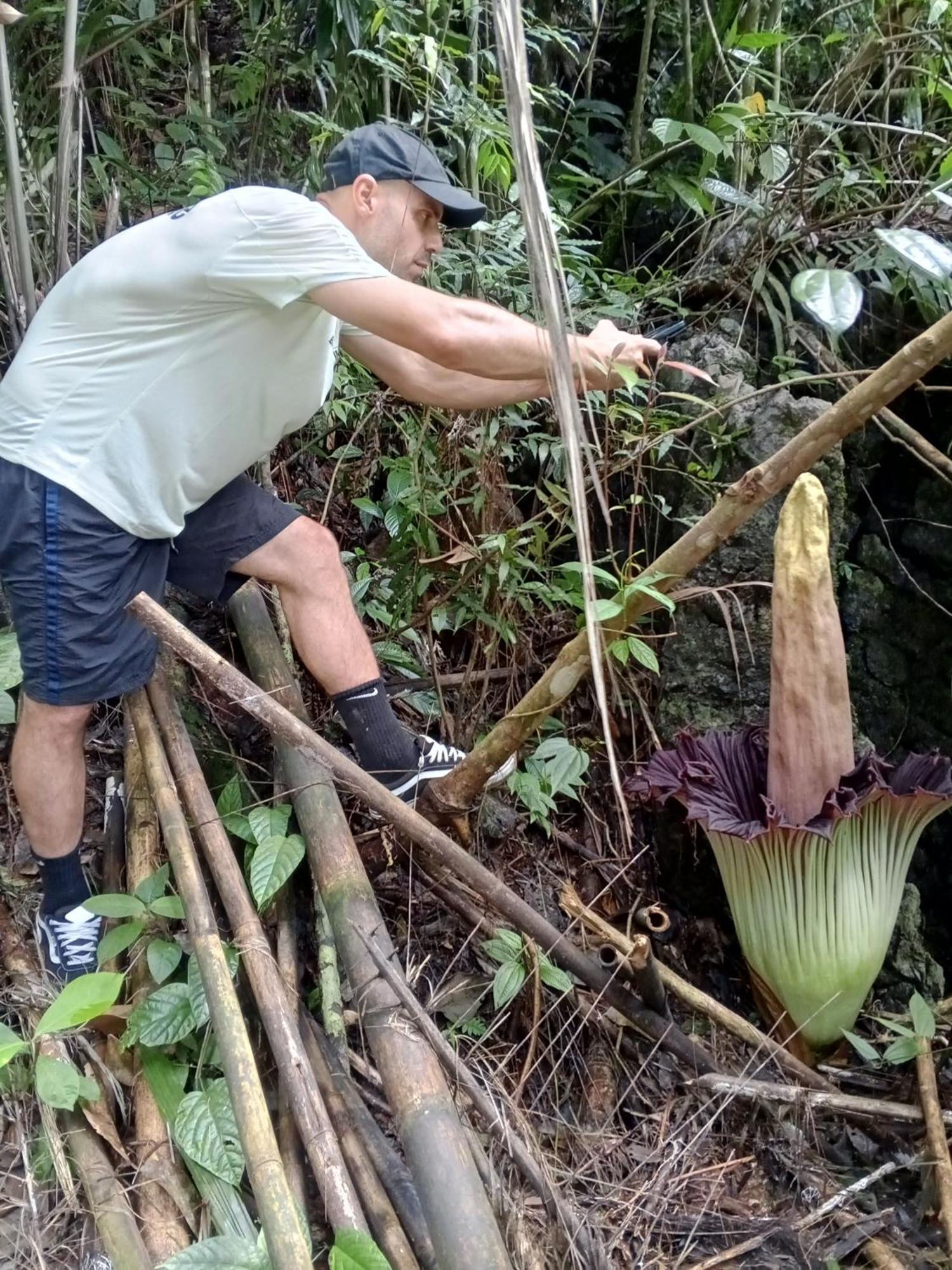 Sama Sama Homestay & Trekking Only Stay Here Book Trekking And Transport With Us Bukit Lawang Bagian luar foto