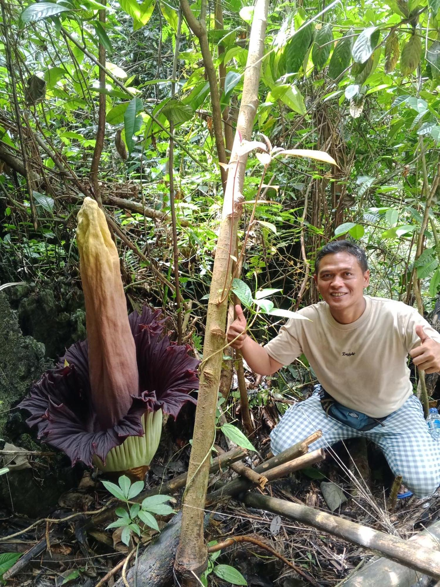 Sama Sama Homestay & Trekking Only Stay Here Book Trekking And Transport With Us Bukit Lawang Bagian luar foto