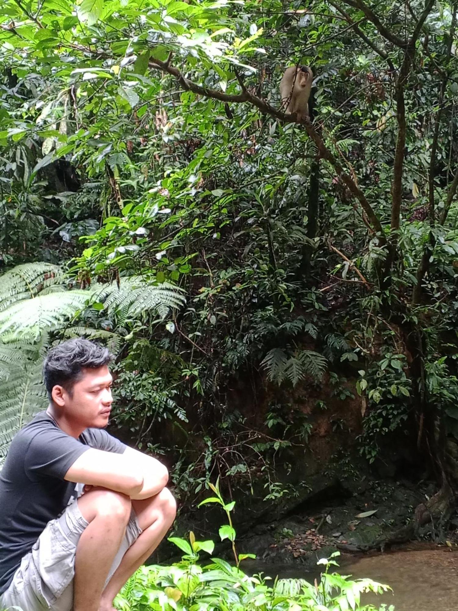 Sama Sama Homestay & Trekking Only Stay Here Book Trekking And Transport With Us Bukit Lawang Bagian luar foto