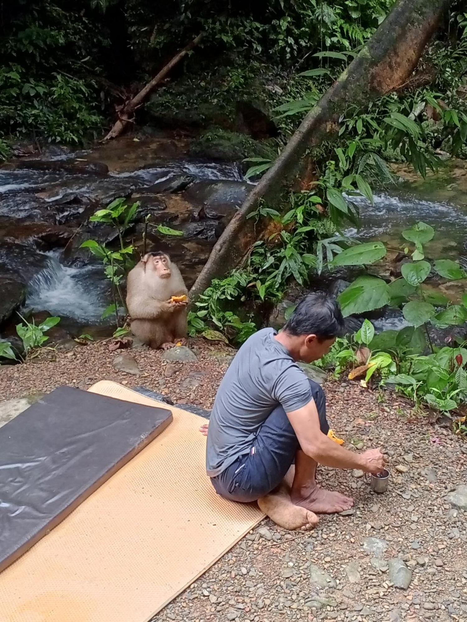 Sama Sama Homestay & Trekking Only Stay Here Book Trekking And Transport With Us Bukit Lawang Bagian luar foto