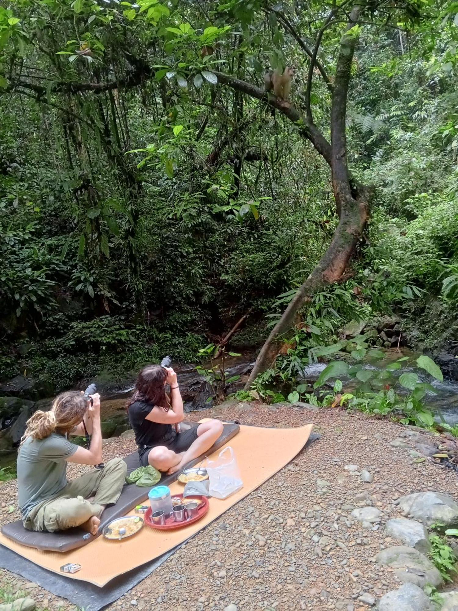 Sama Sama Homestay & Trekking Only Stay Here Book Trekking And Transport With Us Bukit Lawang Bagian luar foto
